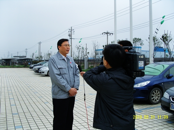 少妇做爰特黄A片免费看