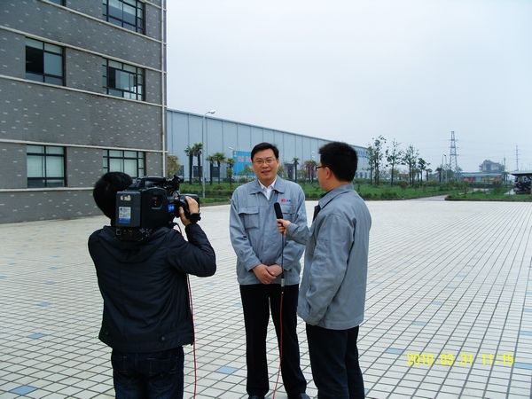 少妇做爰特黄A片免费看