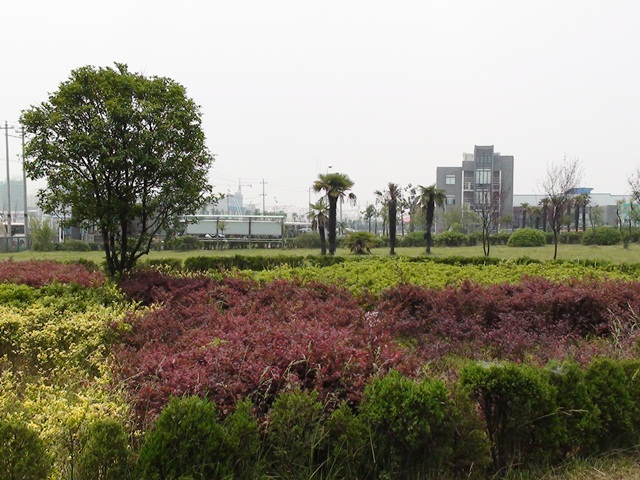 少妇做爰特黄A片免费看