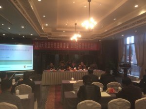 少妇做爰特黄A片免费看