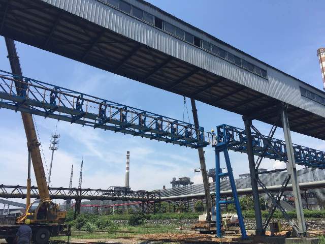 少妇做爰特黄A片免费看